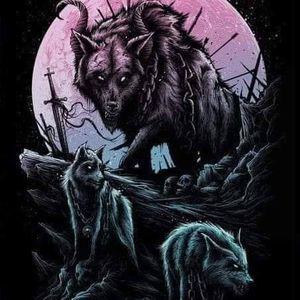 Meet your Posher, Dan